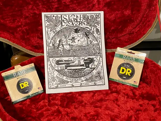 Mule Resonator Guitar w/ Pick-up - Photo 9