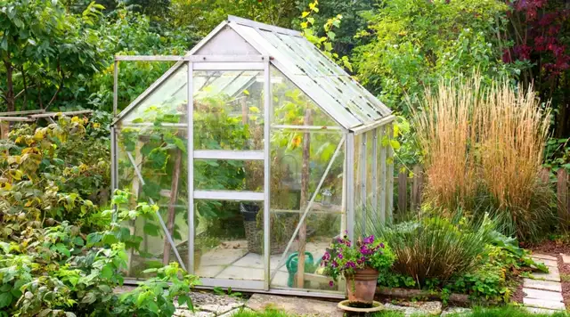 Small Walk-In Greenhouse 6x6x7 - Photo 3