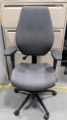 ErgoCentric GeoCentric Mid Back Multi-Tilt Series!