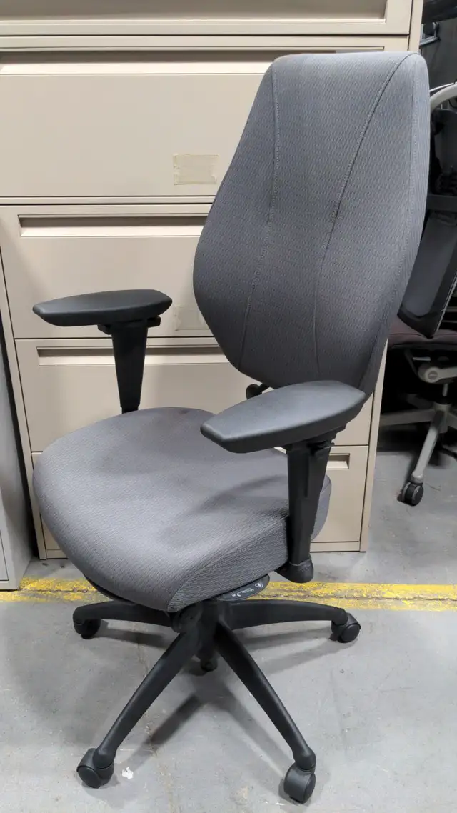 ErgoCentric GeoCentric Mid Back Multi-Tilt Series! - Photo 2