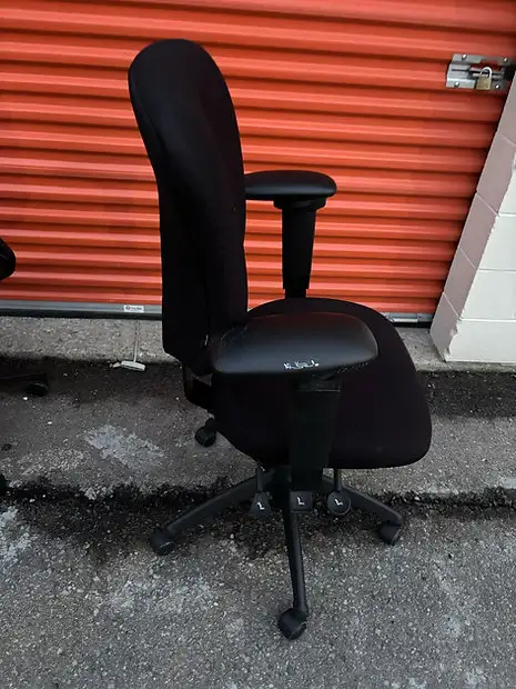 ErgoCentric GeoCentric Mid Back Multi-Tilt Series! - Photo 3