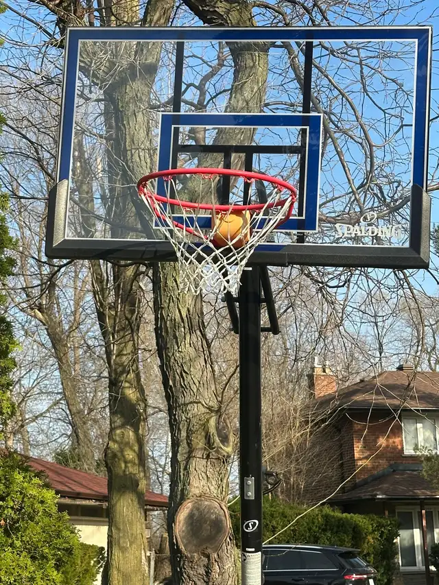 Spalding Hercules Basketball Net