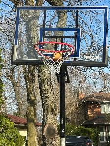 Spalding Hercules Basketball Net