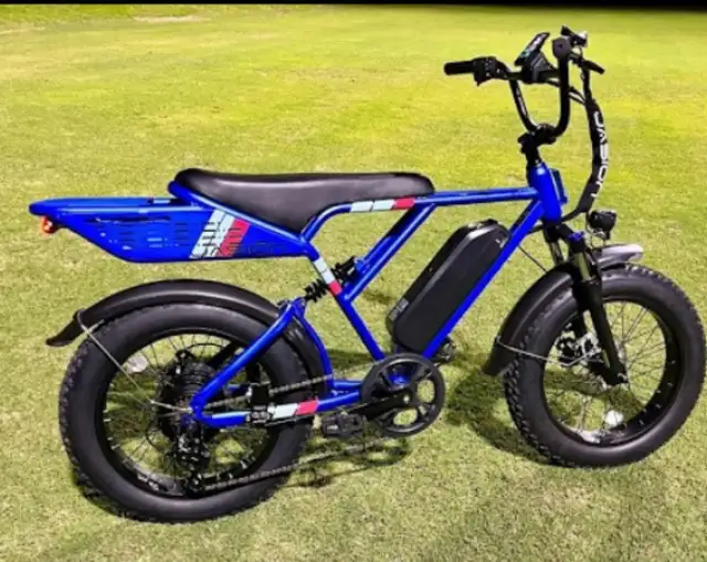 STOLEN Apr 20: Blue Jasion RetroVolt E-Bike STC - Police 26-8192 - Photo 3