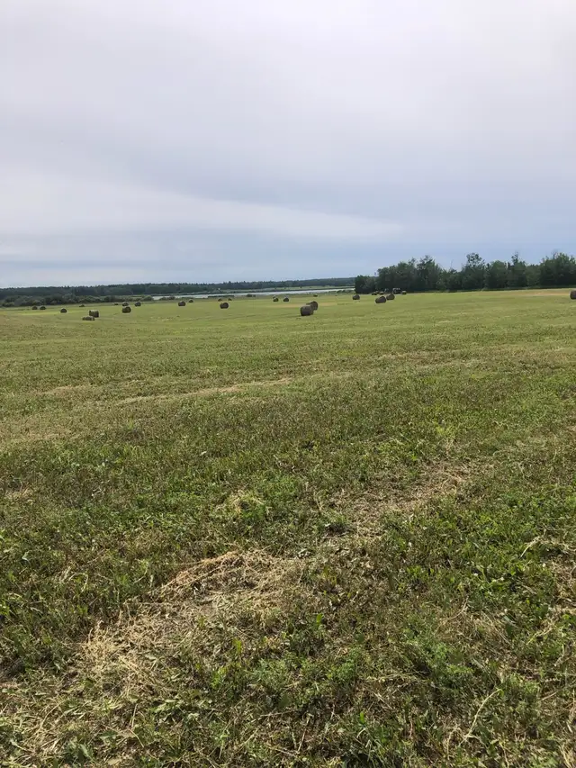 Pasture and hay land wanted - Photo 4