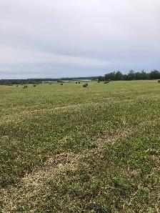 Pasture and hay land wanted - Photo 4