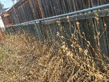 Metal fencing