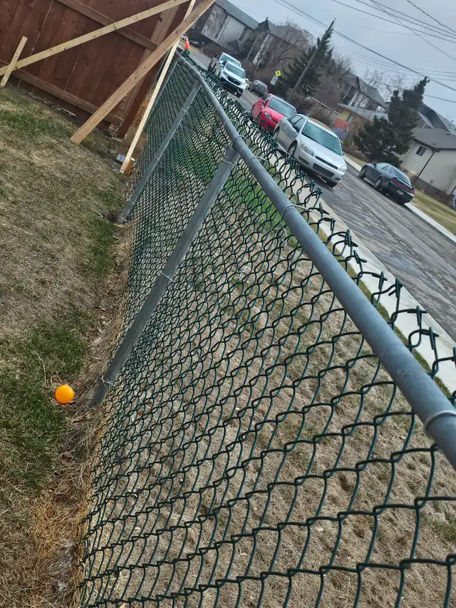 Metal fencing - Photo 4