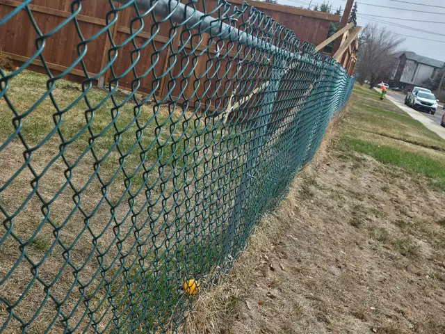 Metal fencing - Photo 6