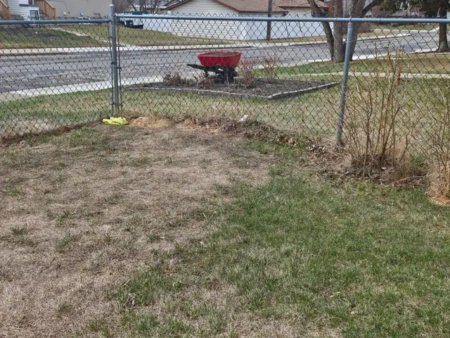 Metal fencing - Photo 7