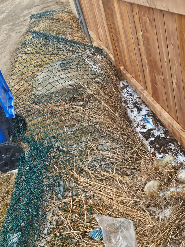 Metal fencing - Photo 8