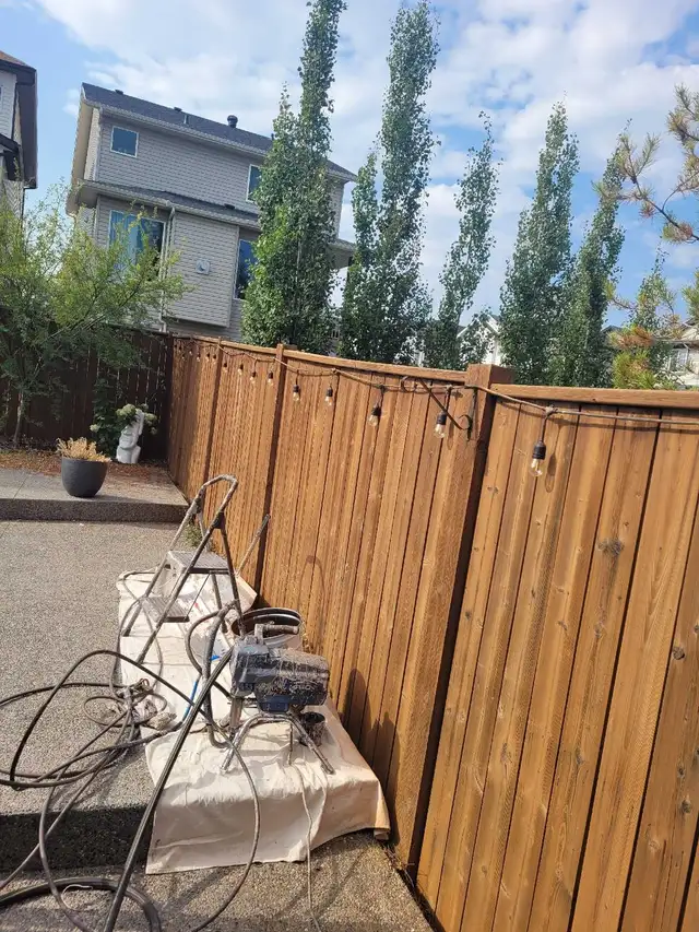 Looking for a painter/renovator, young man with experience. - Photo 8