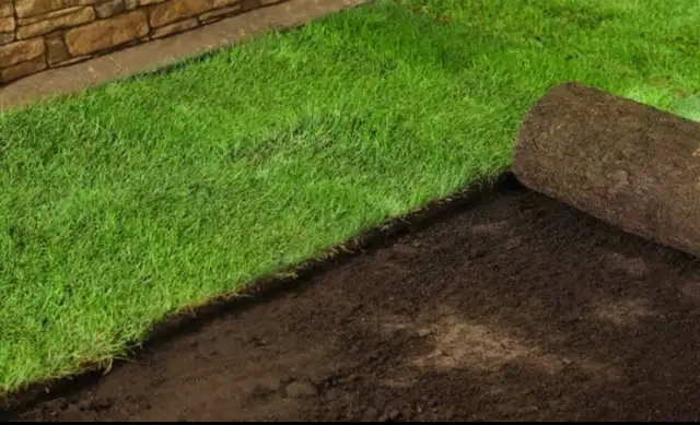 Sod installation