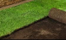 Sod installation