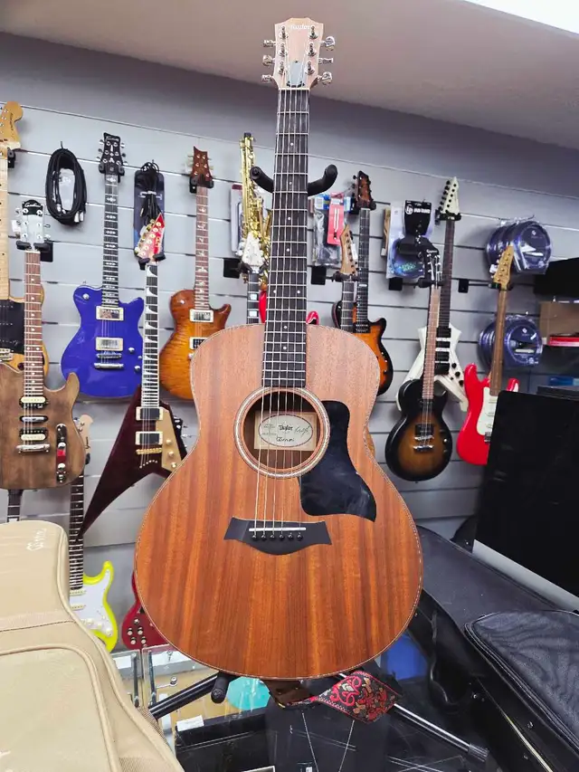 Taylor GS Mini