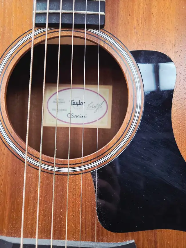 Taylor GS Mini - Photo 2