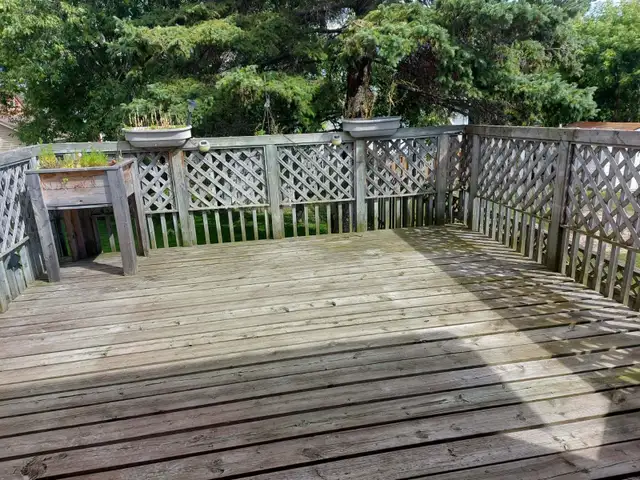 House for Rent - 11 Dalton Ave, Thunder Bay - Photo 4