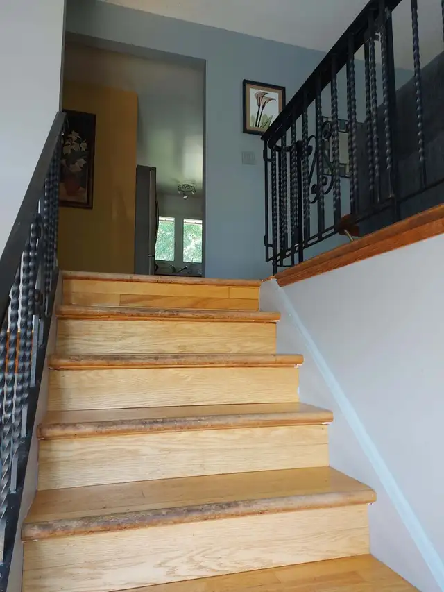House for Rent - 11 Dalton Ave, Thunder Bay - Photo 5