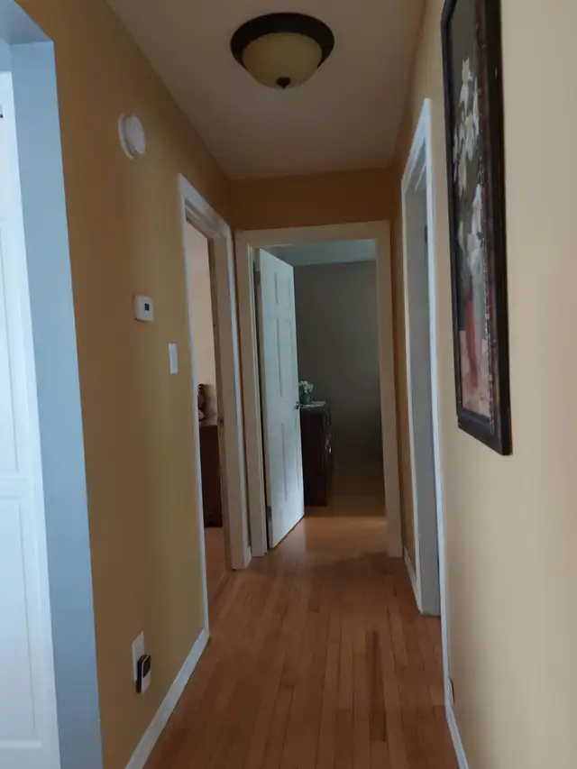 House for Rent - 11 Dalton Ave, Thunder Bay - Photo 6