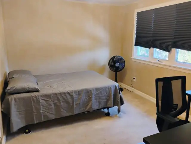 May 1-Aug 31- 3 Rooms-Merivale rd, Preston st, see VIDEO's - Photo 3