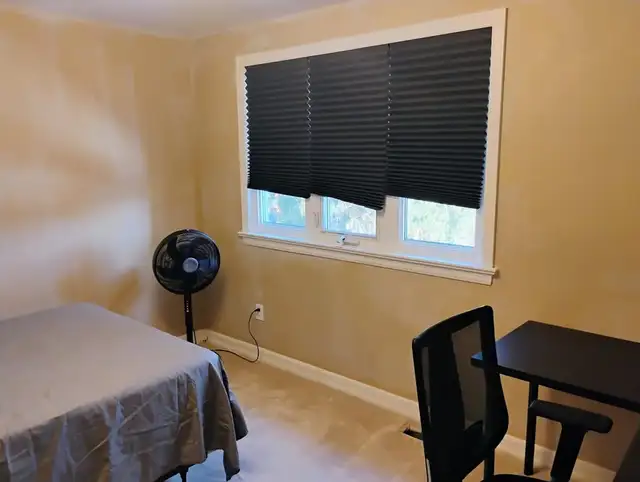 May 1-Aug 31- 3 Rooms-Merivale rd, Preston st, see VIDEO's - Photo 5