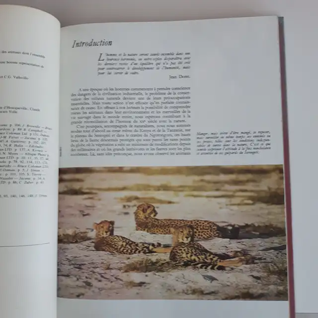 GRAND LIVRE NEUF ADO LES ANIMAUX D'AFRIQUE 160PAG STEPPES SAVANE - Photo 2
