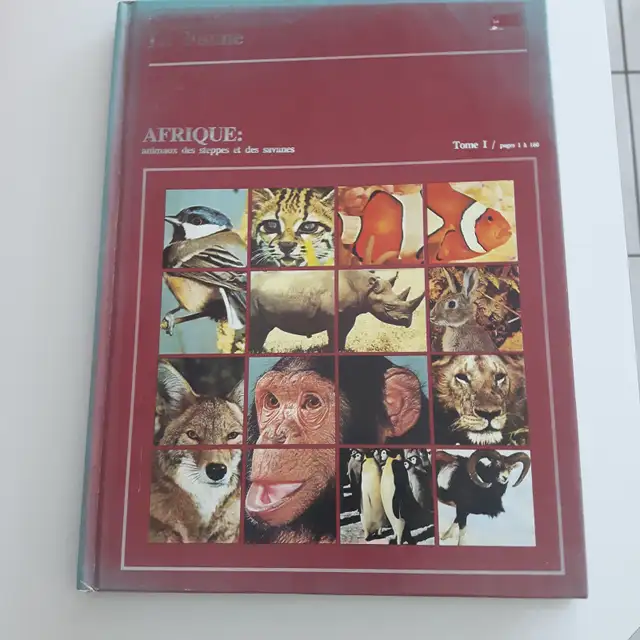 GRAND LIVRE NEUF ADO LES ANIMAUX D'AFRIQUE 160PAG STEPPES SAVANE - Photo 3