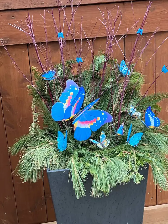 Live In Caregiver Full Time - Photo 2