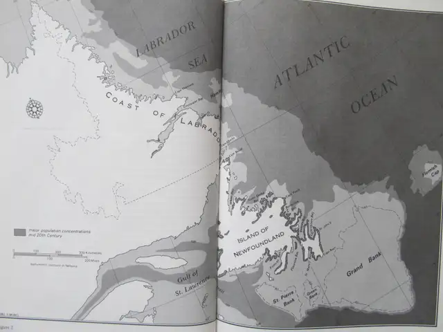 DICTIONARY OF NEWFOUNDLAND ENGLISH - 1982 HC - Photo 5