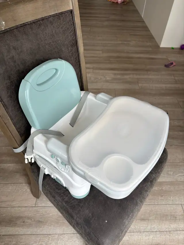 fisher price high chair