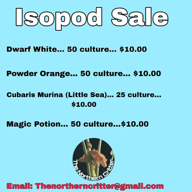 Isopod Sale
