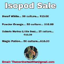 Isopod Sale