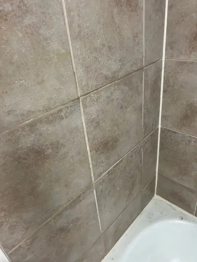 Caulking Shower and Bathtub Sink $100 - Photo 4