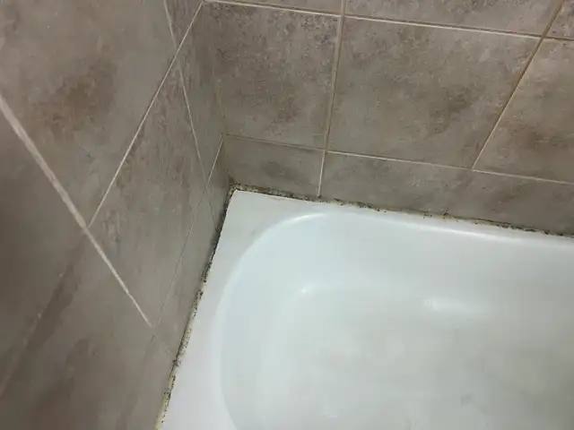 Caulking Shower and Bathtub Sink $100 - Photo 6