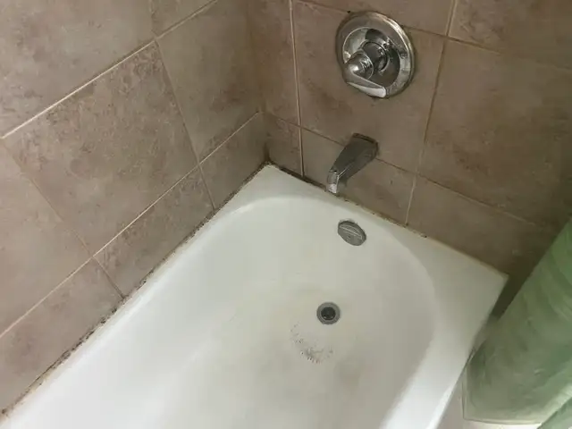 Caulking Shower and Bathtub Sink $100 - Photo 7