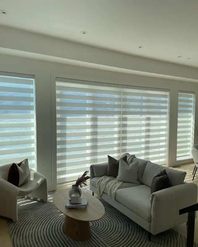 local direct zebra blinds/window covering supplier best price - Photo 3