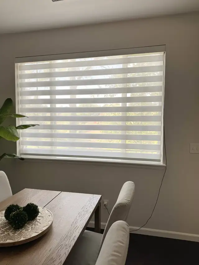local direct zebra blinds/window covering supplier best price - Photo 5