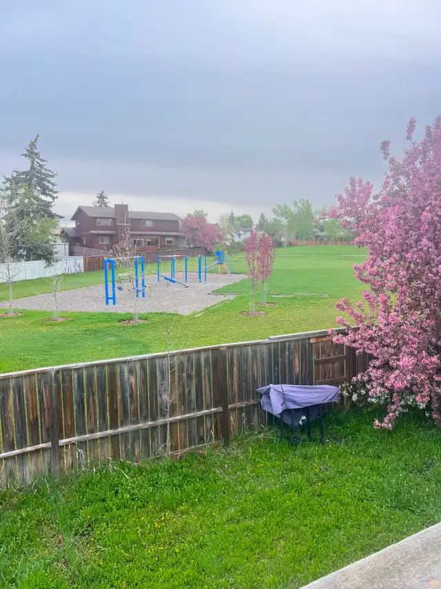 5 min Walk to Whitehorn Ctrain / Near Industrial area & Airport - Photo 4