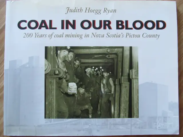 COAL IN OUR BLOOD by Judith Ryan – 1992 SC