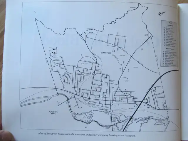 COAL IN OUR BLOOD by Judith Ryan – 1992 SC - Photo 2