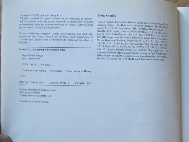 COAL IN OUR BLOOD by Judith Ryan – 1992 SC - Photo 4