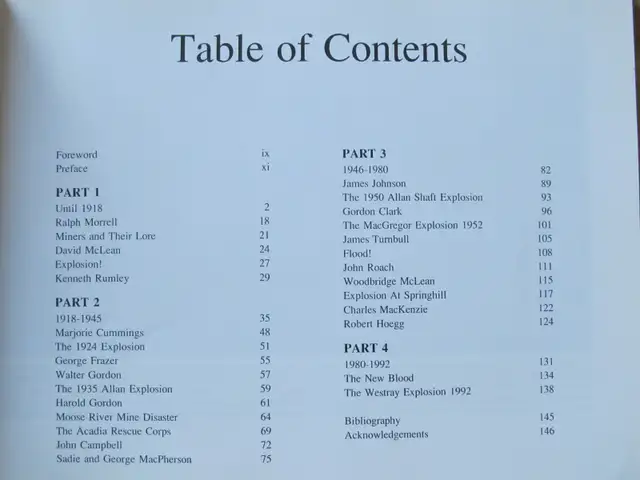 COAL IN OUR BLOOD by Judith Ryan – 1992 SC - Photo 5