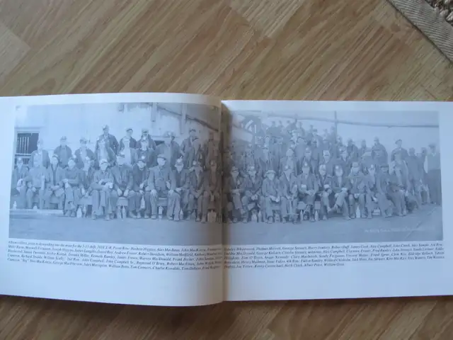 COAL IN OUR BLOOD by Judith Ryan – 1992 SC - Photo 6