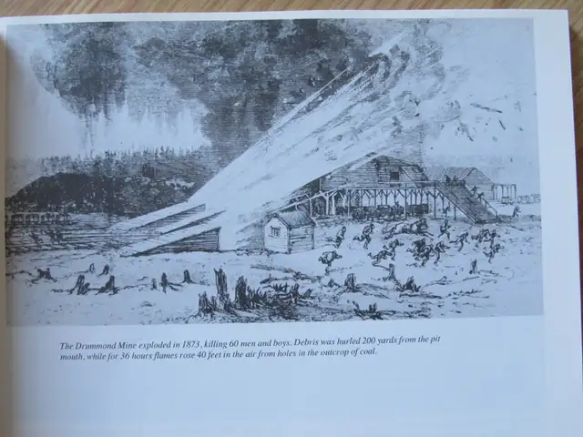 COAL IN OUR BLOOD by Judith Ryan – 1992 SC - Photo 7