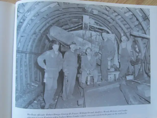 COAL IN OUR BLOOD by Judith Ryan – 1992 SC - Photo 9