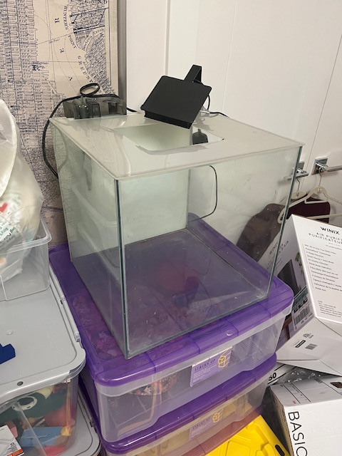 Aquariums and Supplies - Fluval Evo, Fluval Flora, and More-a! - Photo 4