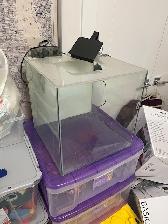 Aquariums and Supplies - Fluval Evo, Fluval Flora, and More-a! - Photo 4