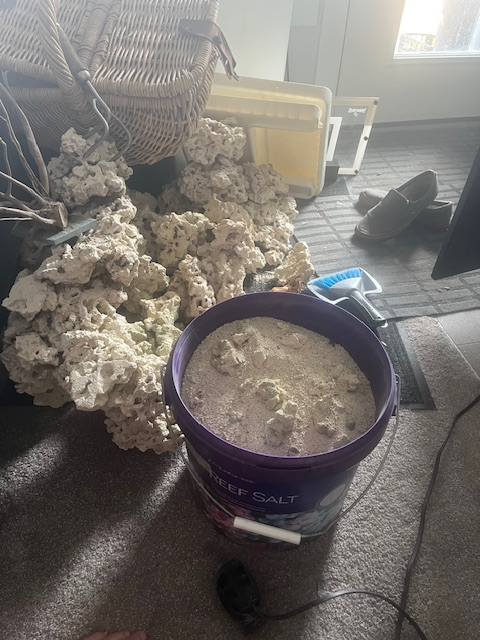 Aquariums and Supplies - Fluval Evo, Fluval Flora, and More-a! - Photo 5