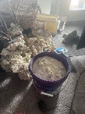 Aquariums and Supplies - Fluval Evo, Fluval Flora, and More-a! - Photo 5