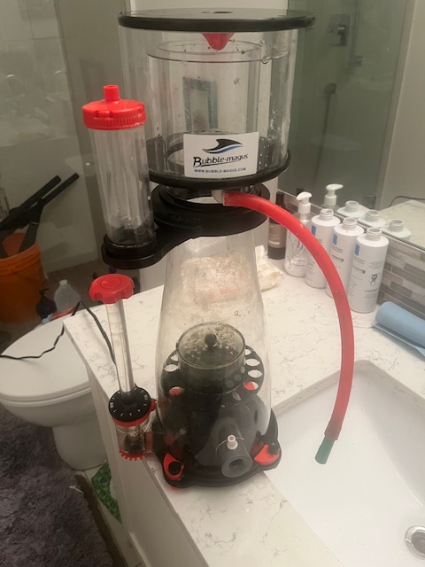 Aquariums and Supplies - Fluval Evo, Fluval Flora, and More-a! - Photo 7